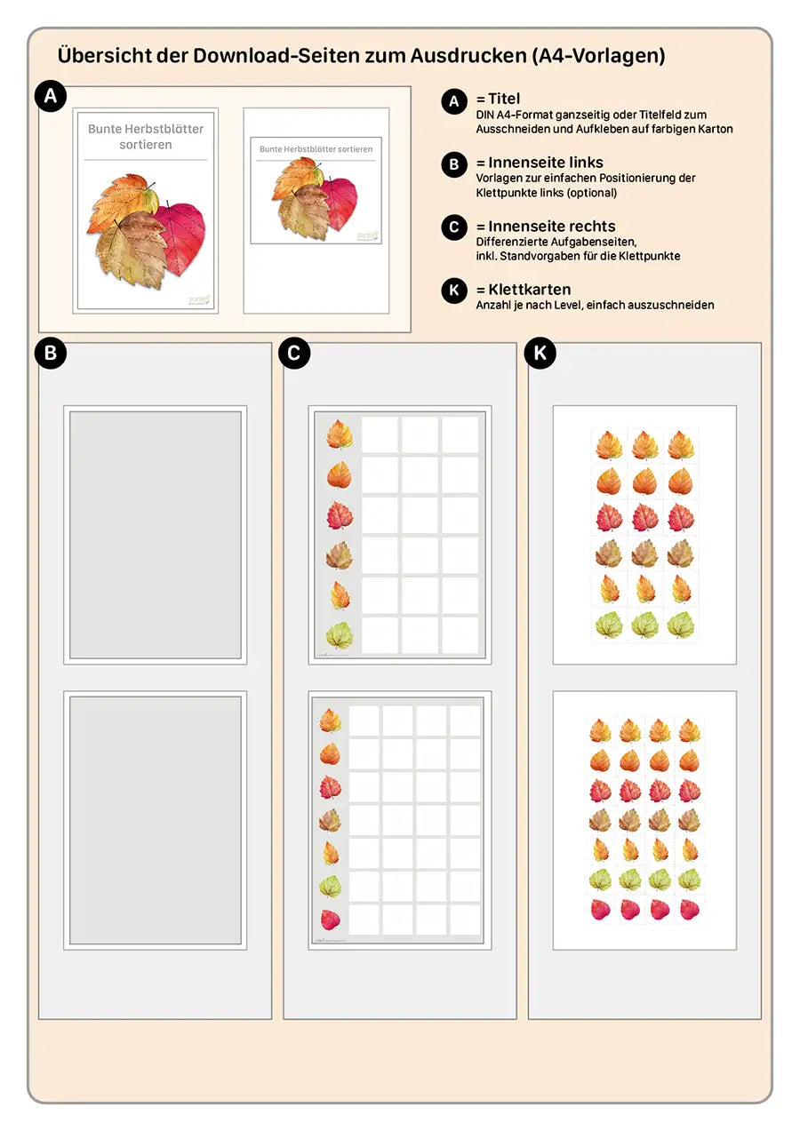 Bunte Herbstblätter sortieren