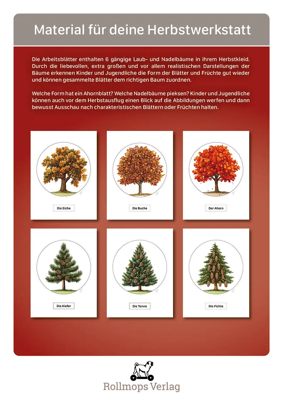 Herbstwerkstatt – 6 Bäume zum Aufstellen