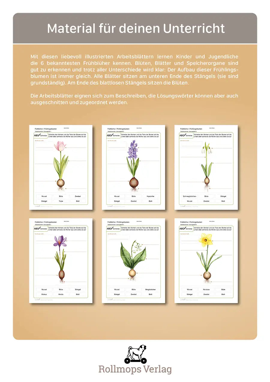 Frühblüher / Frühlingsblumen