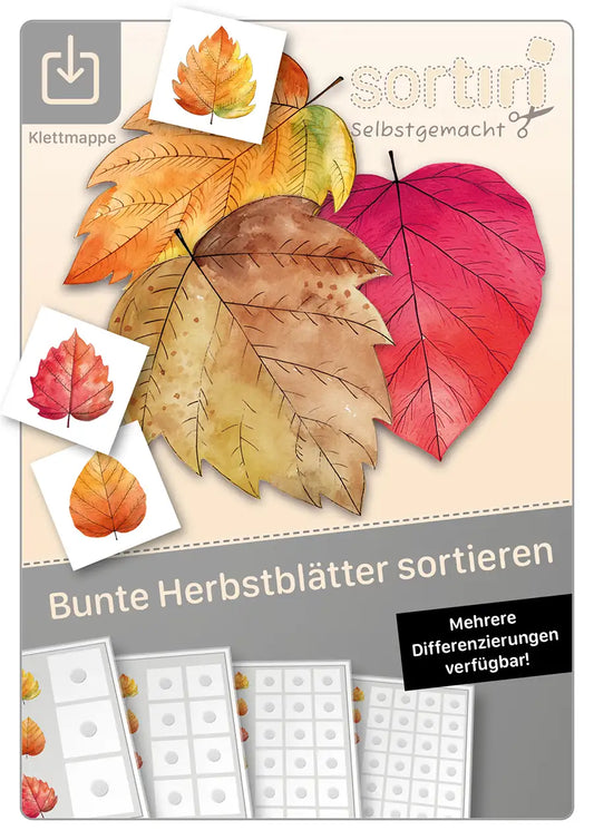 Bunte Herbstblätter sortieren