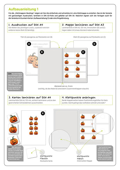 Halloween-Kürbisse zuordnen